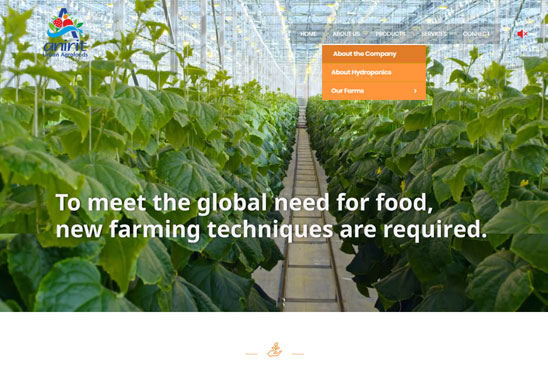  Anirit Urban Agrofoods 